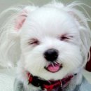 소근소근 이미지