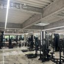 이지피트니스 이미지