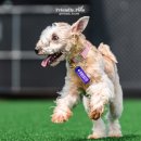 파주힐링몽 이미지