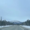 자작&white | 캐나다 유콘 화이트 홀스 (Whitehorse) - 투어없이 오로라 보기 성공기 2탄 액티비티 (개썰매...