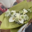 영지학교 | 제주도 가성비 부케 가격 좋은 폴플라워 추천