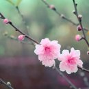 해성공인중개사사무소 이미지