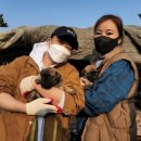 도그어스 플래닛 이미지