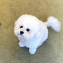 바를:민네일