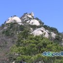 [정기산행]2010년 12월 05일 수락산,불암산 (640m,509.7m) 서울 의정부 이미지