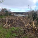 색달동-19 이미지