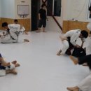 칼슨그레이시 코리아 이미지