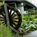 괴산(양평) 이미지