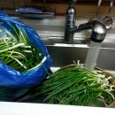 많은파김치 담는법~*^^ 이미지