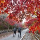 대둔산모텔 이미지