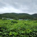 은성 태양광발전소 이미지