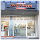 구미강아지 무료분양 퍼피이벤트 | 포항강아지분양, 강아지를 안전하게 데리고 올 수 있는 곳 : 대구강아지분양 홍스퍼피