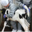 경기도 북부동물위생시험소 이미지