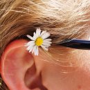 성모베스트이비인후과의원 이미지