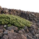 행원환해장성 이미지