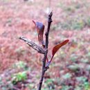 설악농장 이미지