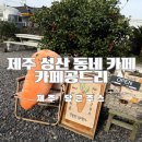 진솔마트 | [제주여행22] 성산 카페공드리 당근주스 내돈내산 후기