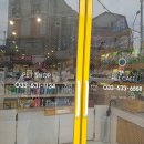 벤지애견 이미지