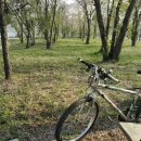 강변의 숲속 이미지