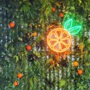 서귀포감귤박물관 이미지