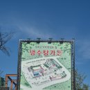 가야오리불고기