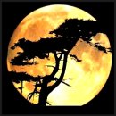 통나무산장 이미지