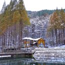 "한국 속 유럽이라 괜히 불리는 게 아니구나"... 숨은 설경 명소로 입소문 난 겨울 산책 코스 이미지