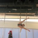 584 | 일산 폴댄스 폴린이 국화의 584회차 수업 후기 초급 타이거