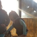 승민애견 이미지