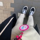 정월샘식품 | [호랭일기] 2.22 - 2.28 2월 마지막주일상 / 평범하고 별거없는 하루