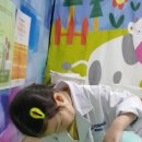 수아동물병원 이미지