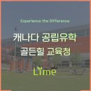 골든힐(Golden Hill) 이미지