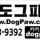 도그파우 이미지