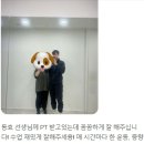 에그인짐 네이버블로그