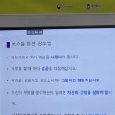 심리정서지원사업      너는 나의 별이야 | 2026 청년도전지원사업 도전 장기 1기 3회차 활동 기록