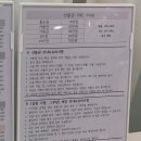 다올 그루밍 이미지