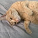 여주-0704 | 2021년 7월 7일 일기 (원피스/데일리룩/평화시장/미드나이트)