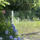 동광단지경로당 이미지