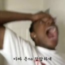 파랑새안경 이미지