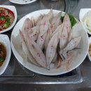 사계절 맛집 이미지