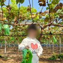 홍주농장 이미지