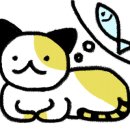 오늘막회 이미지