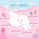 배짱오락 | [국내여행] 당진 1박 2일 일정 2일 차: 당진 벚꽃 명소, 장고항 시장, 백반기행 당진 맛집 애자네횟집 후기