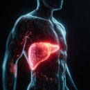 나비샘내과의원 | 만성피로원인 12가지 중 나에게 해당되는 건? 강서구 내과 원장의 진단 노트!