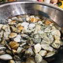 고성펜션 화포리 | 고성독채펜션추천:가족펜션 화포리펜션추천추천