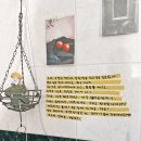 해치커피