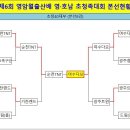 ●→ 제6회 영암월출산배 생활체육 영 ·호남초청족구대회 결과 이미지