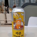 라온(RAON) 이미지