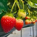 경주농장 이미지