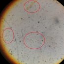 희망동물병원 이미지